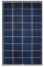EnergyPal Aditi Solar Solar Panels Aditi 12V - 110WP 12V - 110WP