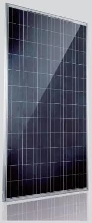 EnergyPal PTP Energy Solutions Solar Panels PT6P72-290W-310W PT6P60-290W